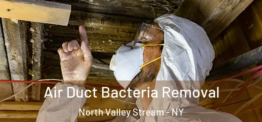 Air Duct Bacteria Removal North Valley Stream - NY