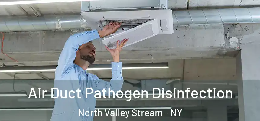 Air Duct Pathogen Disinfection North Valley Stream - NY