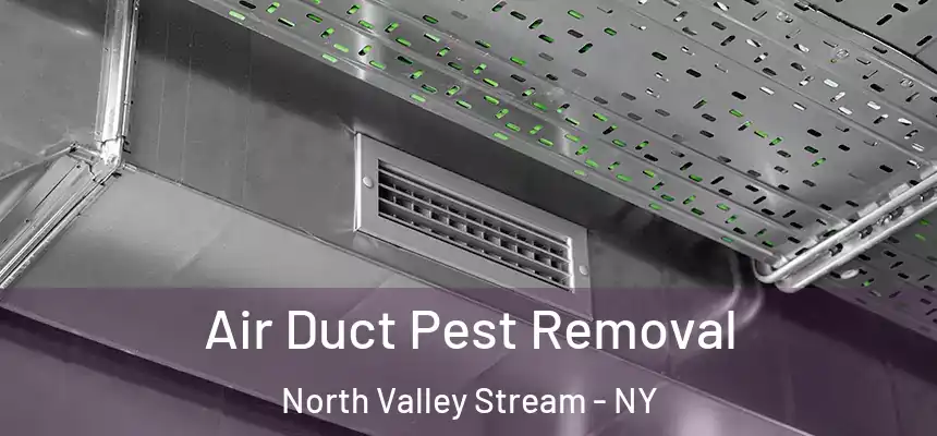  Air Duct Pest Removal North Valley Stream - NY