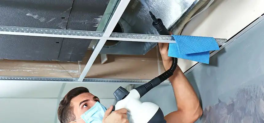 Our Air Duct Rodent Removal Services in North Valley Stream, NY
