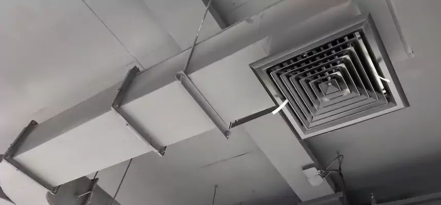 Restorative Allergy Relief Vent Cleaning – Coil, Blower & Housing Detail in North Valley Stream