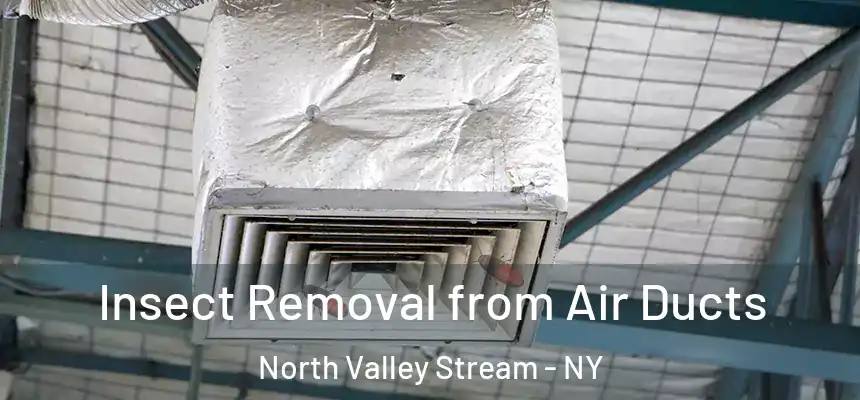 Insect Removal from Air Ducts North Valley Stream - NY