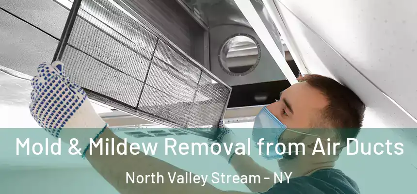  Mold & Mildew Removal from Air Ducts North Valley Stream - NY