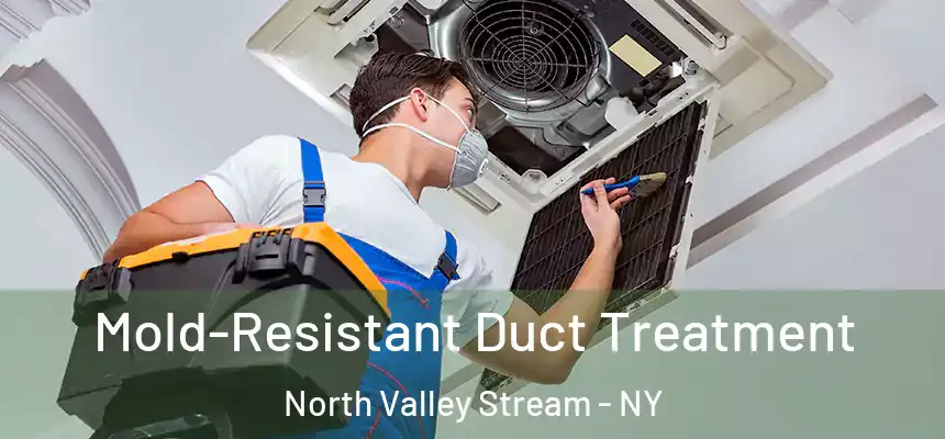 Mold-Resistant Duct Treatment North Valley Stream - NY