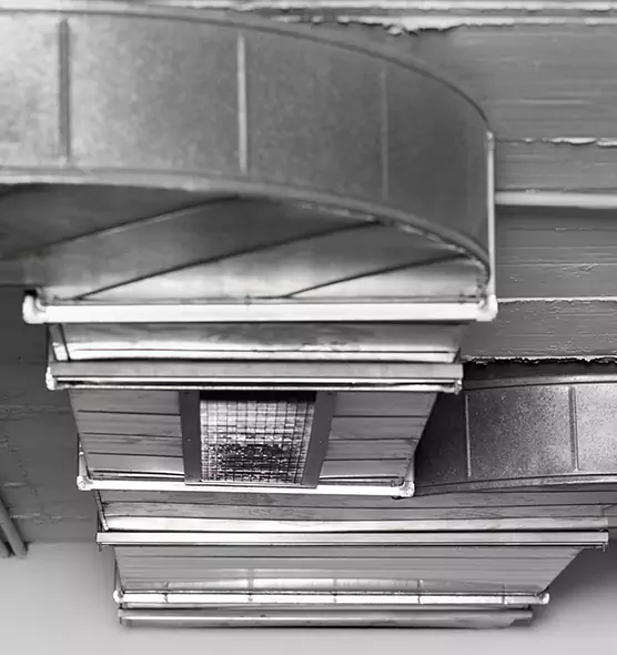 Professional Air Duct Pet Hair Removal in North Valley Stream, NY