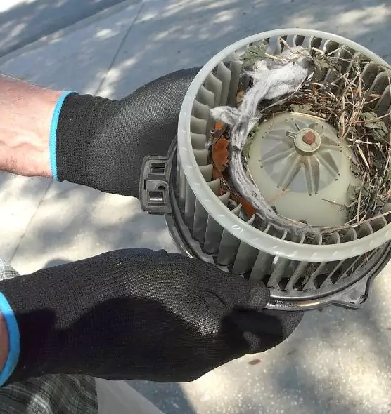 About Air Duct Rat Removal in North Valley Stream, NY