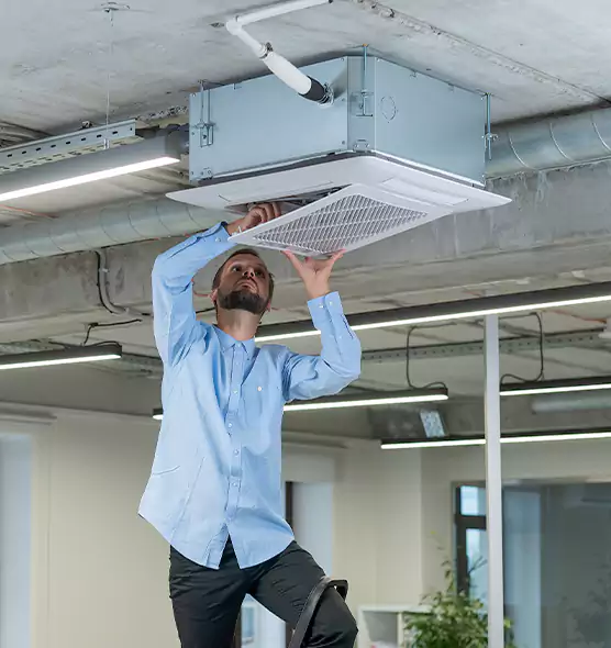 Advanced Rodent Droppings In Vents in North Valley Stream, NY