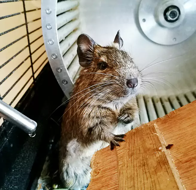 Why Homeowners & Businesses Trust Us North Valley Stream, NY?